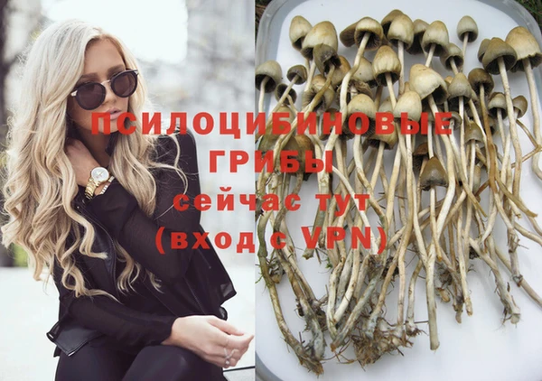 винт Нягань
