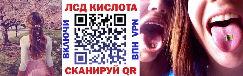 Наркотические марки 1,8мг  купить наркотики сайты  Новотитаровская 