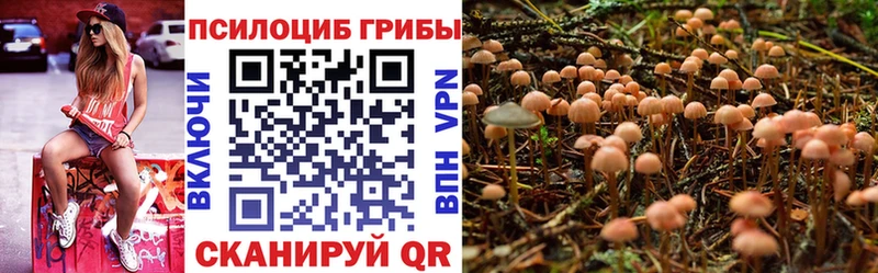 сколько стоит  Новотитаровская  Галлюциногенные грибы GOLDEN TEACHER 