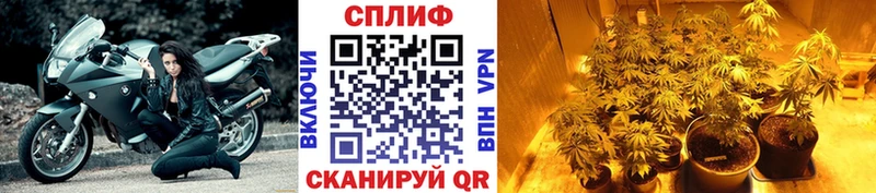 kraken ТОР  Новотитаровская  Канабис гибрид 
